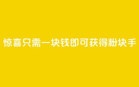 惊喜!只需一块钱,即可获得1000粉块手! 第1张 惊喜!只需一块钱,即可获得1000粉块手! 第1张