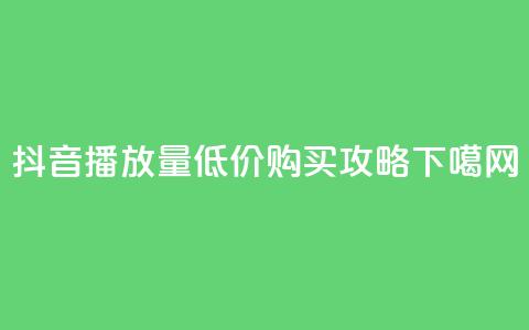 抖音播放量低价购买攻略 第1张 抖音播放量低价购买攻略 第1张