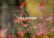 卡盟平台抖音业务