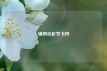 辅助低价发卡网