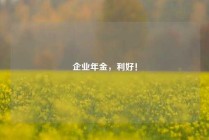 企业年金，利好！