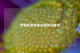 尹锡悦宣布退出国民力量党