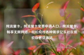 纯流量卡，纯流量卡免费申请入口，纯流量卡，畅享无限网络，轻松应对各种需求亿乐社区低价自营货源站