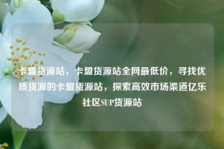 卡盟货源站，卡盟货源站全网最低价，寻找优质货源的卡盟货源站，探索高效市场渠道亿乐社区SUP货源站