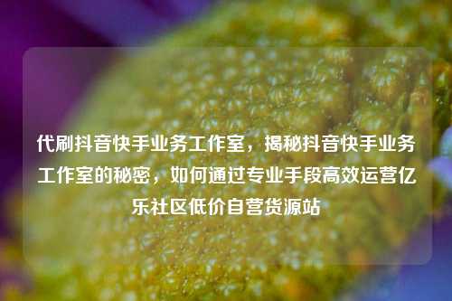 代刷抖音快手业务工作室，揭秘抖音快手业务工作室的秘密，如何通过专业手段高效运营亿乐社区低价自营货源站  第1张