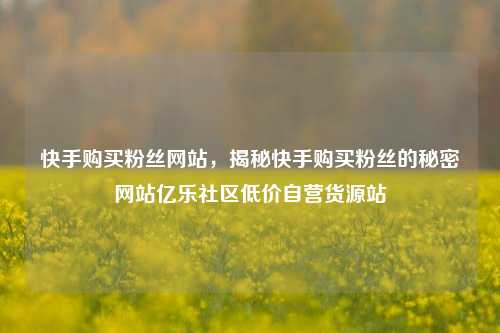 快手购买粉丝网站	，揭秘快手购买粉丝的秘密网站亿乐社区低价自营货源站  第1张