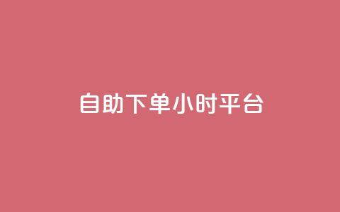 自助下单24小时平台 - 全天候自助下单平台，24小时无缝服务体验~  第1张