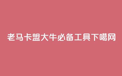 老马卡盟：SEO大牛必备工具。  第1张