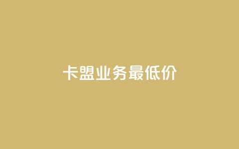 卡盟qq业务最低价,卡盟平台在线下单 - 低价卡密网 彩虹云商城平台  第1张