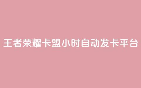 王者荣耀卡盟24小时自动发卡平台 - QQ空间秒工具下载  第1张