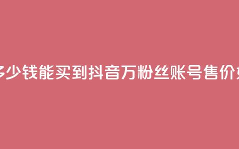 抖音100万账号多少钱能买到(抖音100万粉丝账号售价如何定？)  第1张