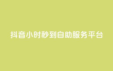 抖音24小时秒到自助服务平台,ks便宜的下单平台 - 抖音评论挣钱是什么套路 Dy号商购买  第1张