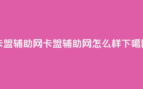卡盟辅助网(卡盟辅助网怎么样)  第1张