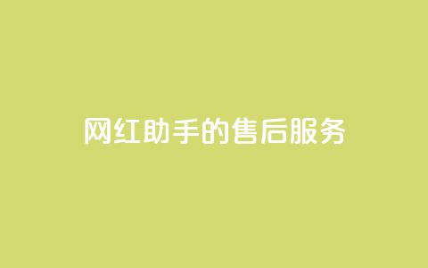 网红助手的售后服务,qq空间访问10人怎么弄 - 全网24小时自助下单网站在线 qq空间免费点赞赞  第1张