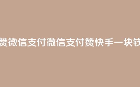 快手一块钱一百个赞微信支付 - 微信支付赞：快手一块钱一百个点赞!  第1张