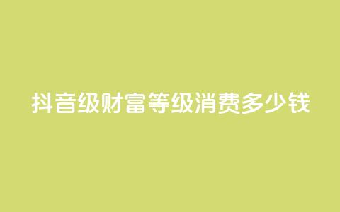 抖音24级财富等级消费多少钱 - 抖音财富等级24级消费金额是多少？!  第1张