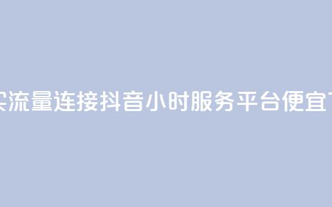 快手买流量连接 - 抖音24小时服务平台便宜  第1张