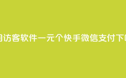 QQ空间访客软件 - 一元10个快手微信支付  第1张