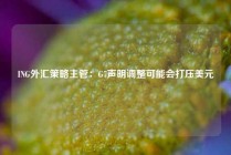 ING外汇策略主管：G7声明调整可能会打压美元