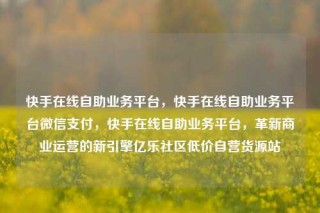 快手在线自助业务平台，快手在线自助业务平台微信支付，快手在线自助业务平台，革新商业运营的新引擎亿乐社区低价自营货源站