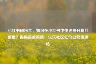 小红书刷粉丝，如何在小红书中快速提升粉丝数量？揭秘高效策略！亿乐社区低价自营货源站