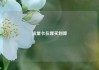流量卡在哪买划算