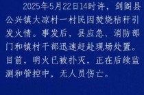 四川剑阁：山火系一村民烧秸秆引发，明火已扑灭无人员伤亡