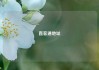 直客通地址