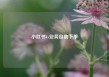 小红书ks业务自助下单