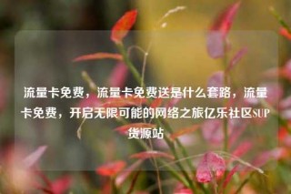 流量卡免费，流量卡免费送是什么套路，流量卡免费，开启无限可能的网络之旅亿乐社区SUP货源站