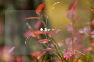 页面uv pv