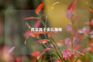 直溪属于金坛哪里