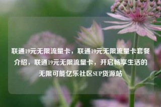 联通19元无限流量卡，联通19元无限流量卡套餐介绍，联通19元无限流量卡，开启畅享生活的无限可能亿乐社区SUP货源站