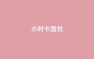 24小时卡盟丝 - 傲世卡盟