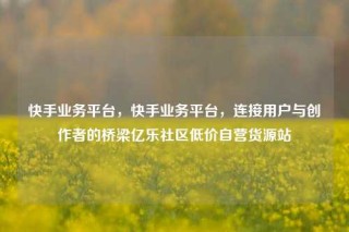 快手业务平台，快手业务平台，连接用户与创作者的桥梁亿乐社区低价自营货源站