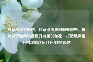 抖音涨流量网站，抖音涨流量网站有哪些，揭秘抖音如何快速提升流量的秘密—打造爆款视频的攻略亿乐社区SUP货源站