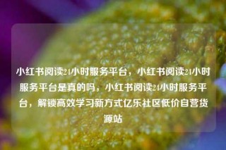 小红书阅读24小时服务平台，小红书阅读24小时服务平台是真的吗，小红书阅读24小时服务平台，解锁高效学习新方式亿乐社区低价自营货源站