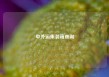 中外运集装箱查询