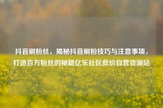 抖音刷粉丝，揭秘抖音刷粉技巧与注意事项，打造百万粉丝的秘籍亿乐社区低价自营货源站