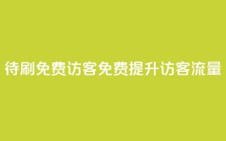 qq待刷免费访客(免费提升QQ访客流量)