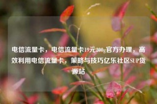 电信流量卡，电信流量卡19元200g官方办理，高效利用电信流量卡，策略与技巧亿乐社区SUP货源站