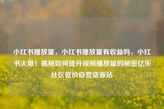小红书播放量，小红书播放量有收益吗，小红书火爆！揭秘如何提升视频播放量的秘密亿乐社区低价自营货源站