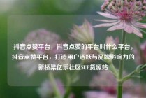抖音点赞平台，抖音点赞的平台叫什么平台，抖音点赞平台，打造用户活跃与品牌影响力的新桥梁亿乐社区SUP货源站
