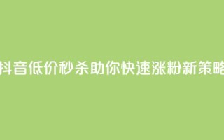 抖音低价秒杀，助你快速涨粉新策略！