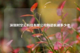 深圳时空云科技有限公司赖楚航被多少年