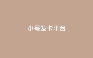 ks小号发卡平台,快手抖音点赞链接免费 - ks打call业务平台 - 1元涨100赞快手网站