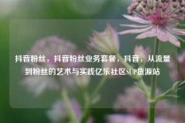 抖音粉丝，抖音粉丝业务套餐，抖音，从流量到粉丝的艺术与实践亿乐社区SUP货源站