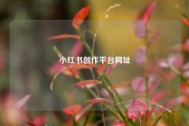 小红书创作平台网址