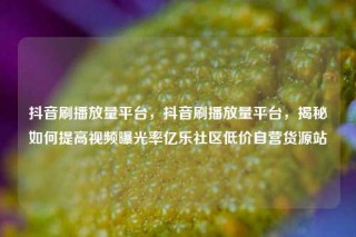 抖音刷播放量平台，抖音刷播放量平台，揭秘如何提高视频曝光率亿乐社区低价自营货源站