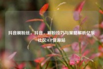 抖音刷粉丝，抖音，刷粉技巧与策略解析亿乐社区SUP货源站